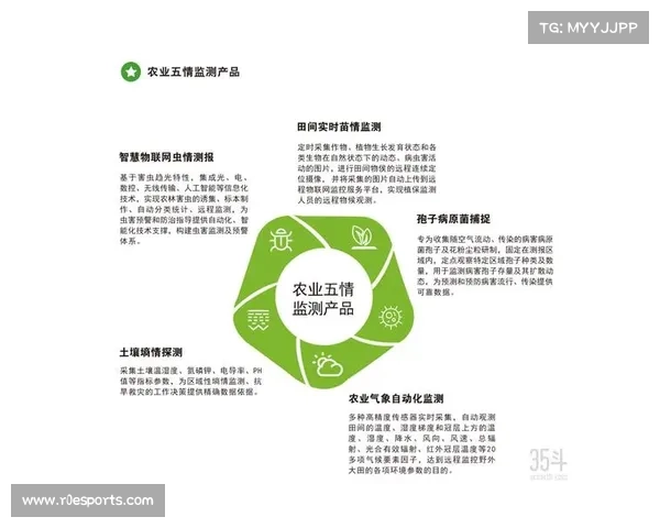 体育赛事绿色认证数字化 碳足迹全程可追溯